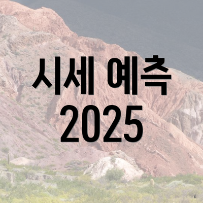 시세 예측 2025