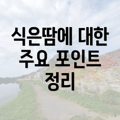 식은땀에 대한 주요 포인트 정리