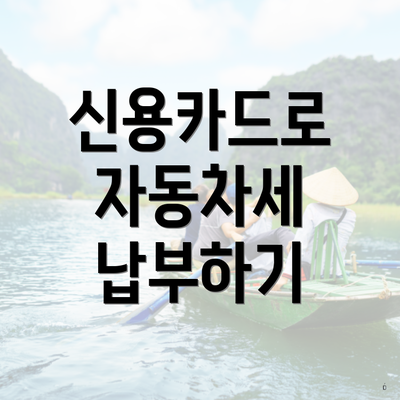 신용카드로 자동차세 납부하기