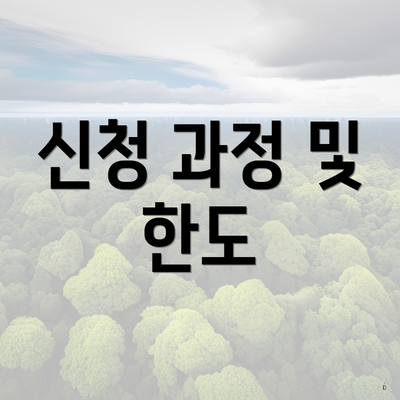 신청 과정 및 한도