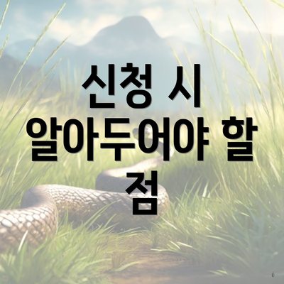 신청 시 알아두어야 할 점