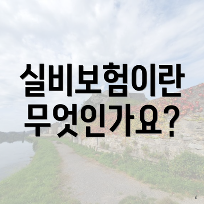 실비보험이란 무엇인가요?