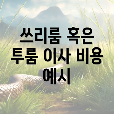 쓰리룸 혹은 투룸 이사 비용 예시