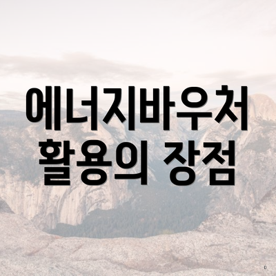 에너지바우처 활용의 장점