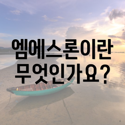 엠에스론이란 무엇인가요?