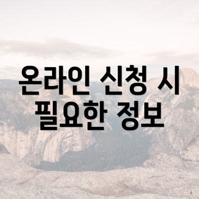 온라인 신청 시 필요한 정보