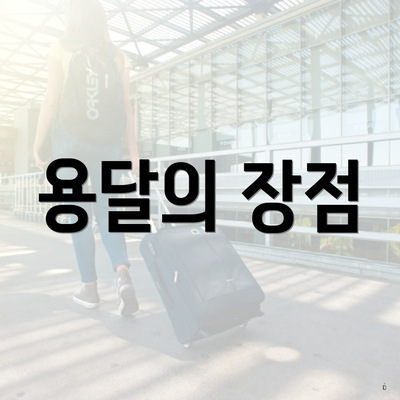 용달의 장점