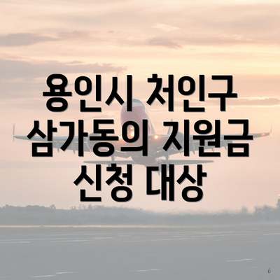 용인시 처인구 삼가동의 지원금 신청 대상