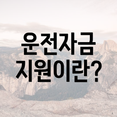 운전자금 지원이란?