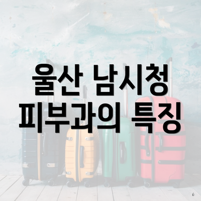 울산 남시청 피부과의 특징