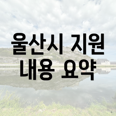 울산시 지원 내용 요약