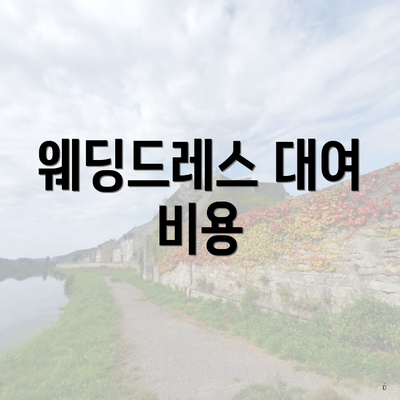 웨딩드레스 대여 비용