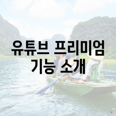 유튜브 프리미엄 기능 소개