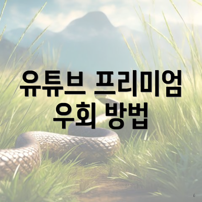 유튜브 프리미엄 우회 방법