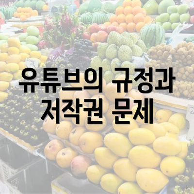 유튜브의 규정과 저작권 문제
