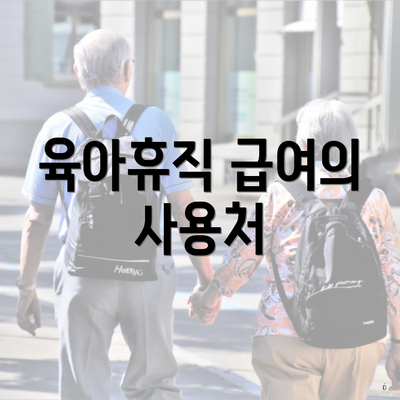 육아휴직 급여의 사용처