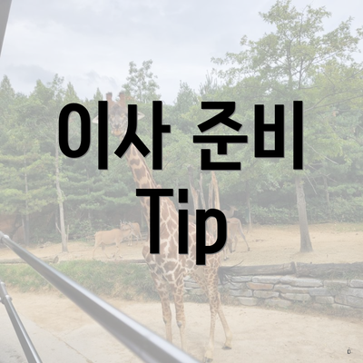 이사 준비 Tip