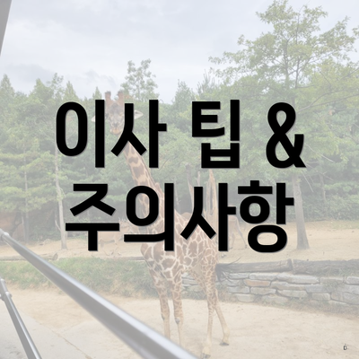 이사 팁 & 주의사항