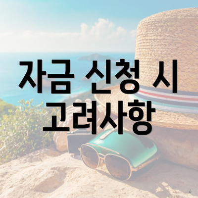 자금 신청 시 고려사항