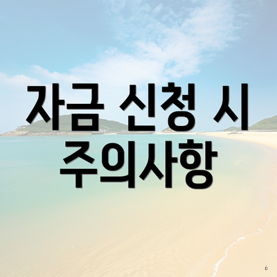 자금 신청 시 주의사항