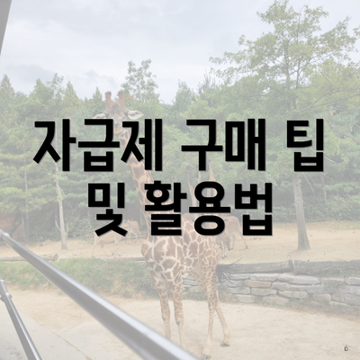 자급제 구매 팁 및 활용법