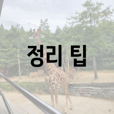 정리 팁