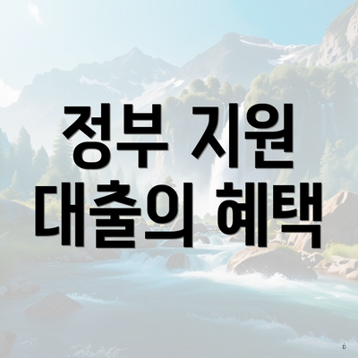 정부 지원 대출의 혜택