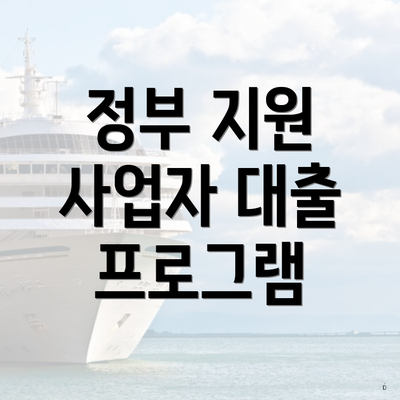 정부 지원 사업자 대출 프로그램