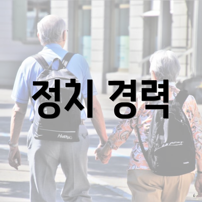정치 경력