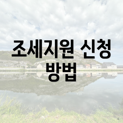 조세지원 신청 방법