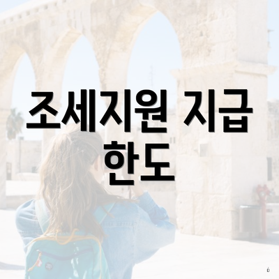 조세지원 지급 한도
