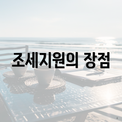 조세지원의 장점