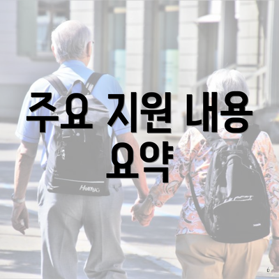 주요 지원 내용 요약