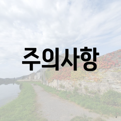 주의사항
