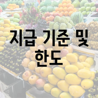 지급 기준 및 한도