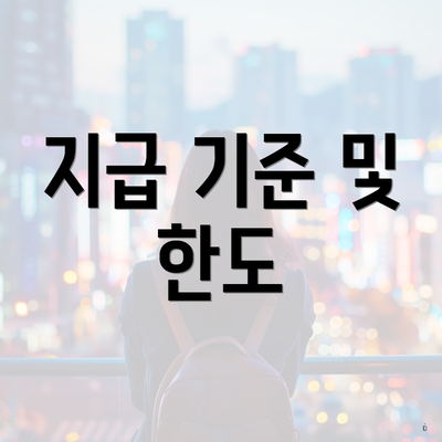 지급 기준 및 한도
