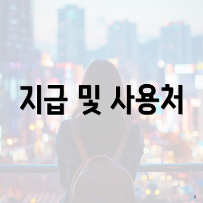 지급 및 사용처