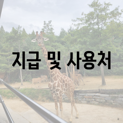 지급 및 사용처