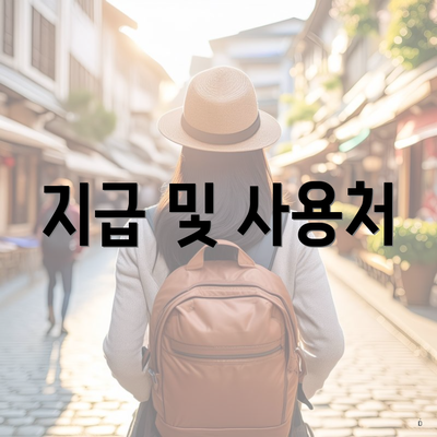 지급 및 사용처