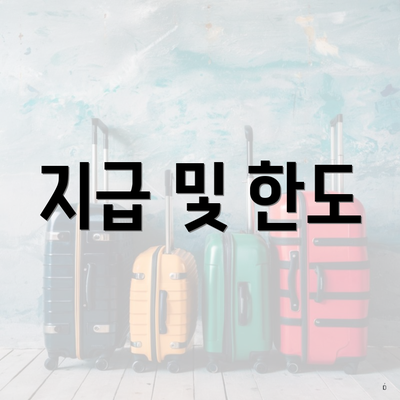 지급 및 한도