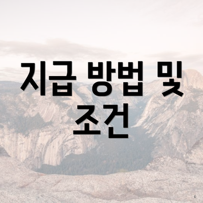 지급 방법 및 조건