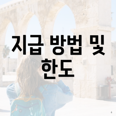 지급 방법 및 한도