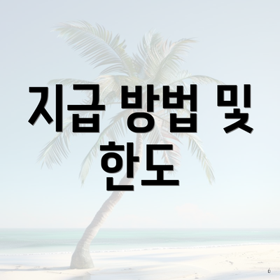 지급 방법 및 한도