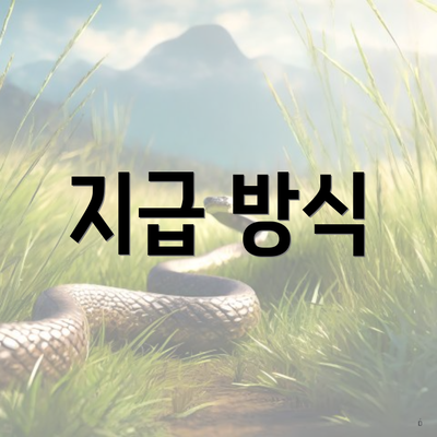 지급 방식