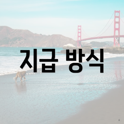 지급 방식