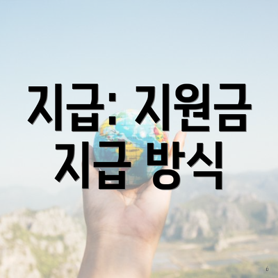 지급: 지원금 지급 방식