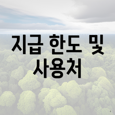 지급 한도 및 사용처
