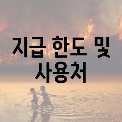 지급 한도 및 사용처