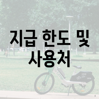 지급 한도 및 사용처