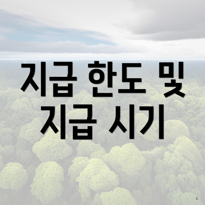 지급 한도 및 지급 시기